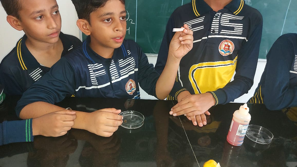 WORLD OF SCIENCE CLUB ACTIVITY - Florence International School